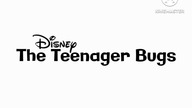 The Teenager Bugs - Teenager Ladybird Lu Blueberry Inflation (2008)