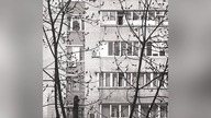 NOVWIK - Reason | - Doomer Wave