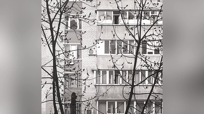 NOVWIK - Reason | - Doomer Wave