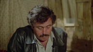 Un si joli village (napisy pl) (1979)