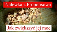 Jaka moc spirytusu do nalewki propolisowej? Jakie to proste.