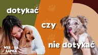 Dotykać, czy nie dotykać