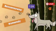 Bezsensowne komendy