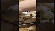 Ciasto terapia