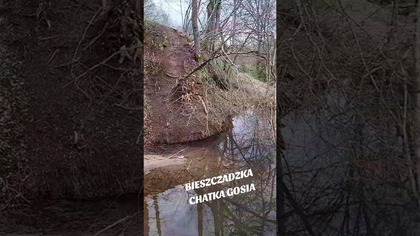 Bobry dalej szaleją w Bieszczadach...  :) #biesy #wbieszczady #bieszczady #rzeka #bieszczadzkarzeka