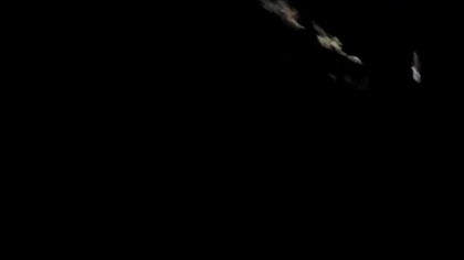 Las Nocą, albo Nocny Pies Rubik! Q&A z SK po Świetnym Marcinie! Dyskusje z SK- czami Spacer po lesie