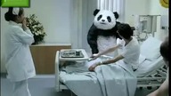 Never Say No To Panda (wersja PL)