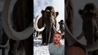 Stwórz wideo z tekstu.  Nowość od OPENai model SORA