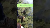 Pożar lasu na Roztoczu.  Śmigłowiec Black Hawk w akcji #shorts