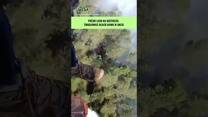 Pożar lasu na Roztoczu.  Śmigłowiec Black Hawk w akcji #shorts