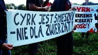 Pikieta pod Cyrkiem Zalewski