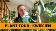 Roślinne aktualizacje Plant TOUR - Kwiecień  Moje rośliny domowe