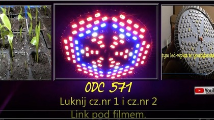 Odc-571-Cz nr 3 Doświetlanie roslin led grow podsumowanie, czy warto ?,sadzonki velutin