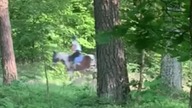 Galop