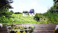 EW - Schodami do nieba