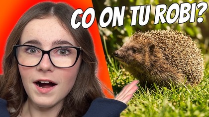 NIESPODZIEWANY GOŚĆ W NASZYM OGRODZIE  Co robi u nas jeż? Daily Vlog 22 maja 2026