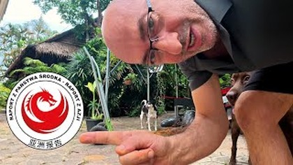 Janusze i Grazyny wyskakiwac z peleryny