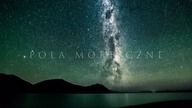POLA MORFICZNE - CZĘŚĆ 2 - ŻYCIORYS RUPERTA SHELDRAKEA