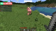 Minecraft PL Bartkiem Bokserem LIVE POLSKA