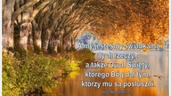 Audycja Wyzwolony Phil Skeba