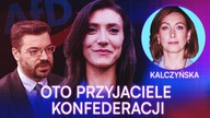 AFD - NOWI SOJUSZNICY KONFEDERACJI.  SZOKUJĄCE POGLĄDY I TAJEMNICZE POWIĄZANIA
