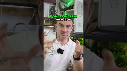 12 Lat z Akwarium Od Początkującego do Eksperta 