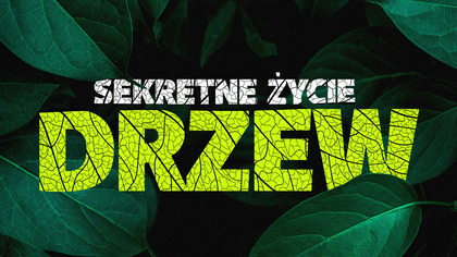 Sekretne życie drzew - program online