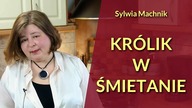 Królik w śmietanie - propozycja na Wielkanocny stół