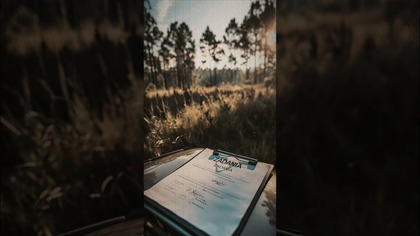 Praca na pustej polanie w środku lasu? Straszne 