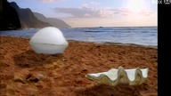 Nalin & Kane - Beachball