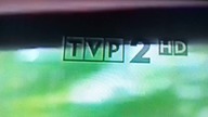Żałobne logo TVP2 HD (15. 02. 2019)