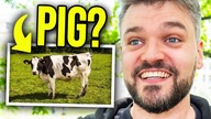 Jak ŹLE Polacy znają JĘZYK ANGIELSKI!