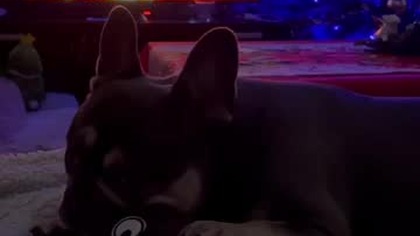 Po wigilijnym posiedzeniu.