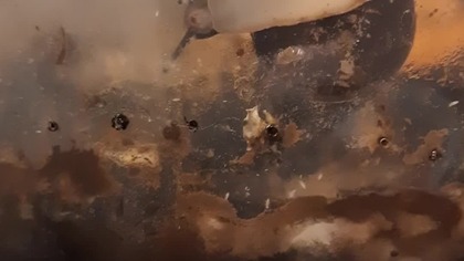 Mouth Of A Snail  #cute