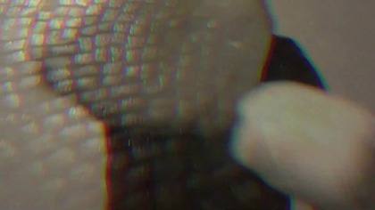 Apokalipsa feat.  Demonic - Szczytno (2024)