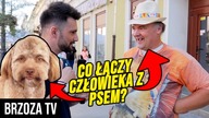 PODCHWYTLIWE PYTANIA: CO ŁĄCZY CZŁOWIEKA Z PSEM?