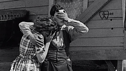 Buster Keaton - Jeden tydzień (1920) Napisy PL