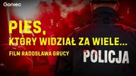 UJAWNIAMY: TO ONI BILI KOBIETY.  WSTRZĄSAJĄCE ZEZNANIA.  TAK FAŁSZUJĄ ŚLEDZTWA
