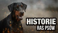 10 HISTORII POWSTANIA RAS PSOW