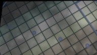 Erg0 Pr0xy E01 PL