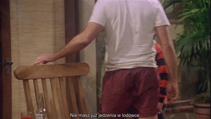 2. i 1/2 odcinek 01 napisy pl