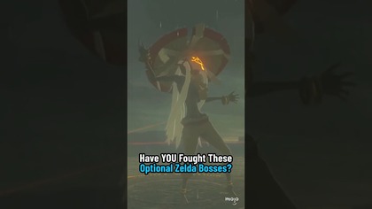 Did You Fight These OPTIONAL Zelda Bosses?