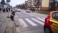 Ciekawa akcja na zebrze w Polsce