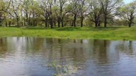 Krokodyl