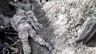 Ukraina: Śmierć Polaka pod Berestowem?