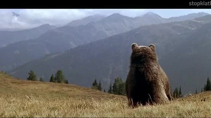 Niedzwiadek. 1988.pl