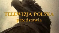 Znak. Orla. E10