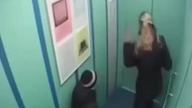 Jak NIE podr&oacute;żować windą z psem +18
