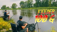 SZOK: głodne KRĄPIE żądają więcej jedzenia - RZECZNY FEEDER i 100g w uciągu