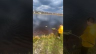 Końcówka holu Karpia